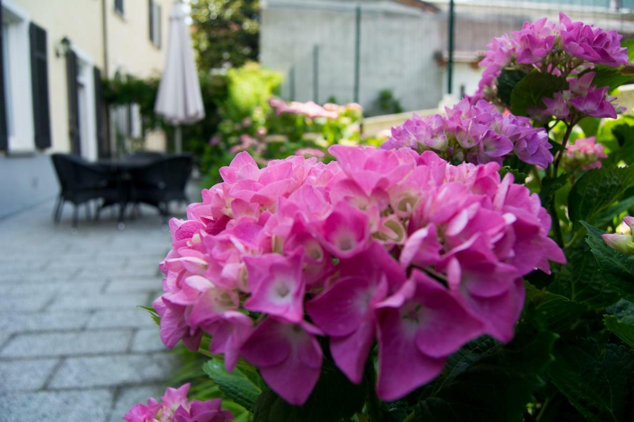 Giardino Delle Ortensie Cannobio Luaran gambar